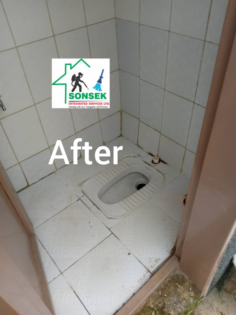 Toilet after deep clean