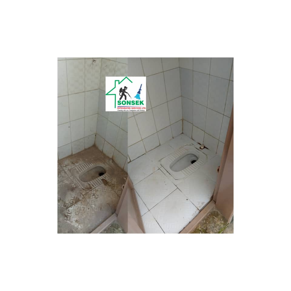 Toilet before deep clean